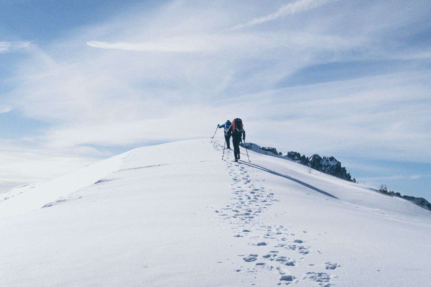 Winter Sports